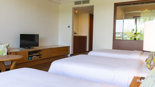 ナチュラルデラックス・グリーンビュー 禁煙