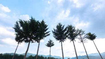 部屋からの景観 / 23