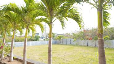 ガーデン ビュー / 7