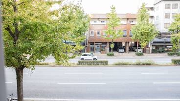 部屋からの景観 / 29