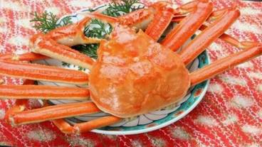 食事・飲み物 / 9