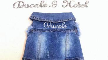 ペット同伴可 / 1