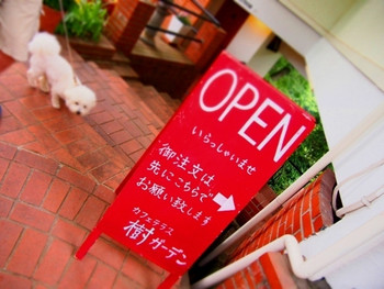 「樹ガーデン」その他 5070 