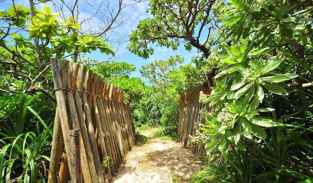 ビーチまでの道 / 1