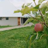 弘前シードル工房 キモリ（ヒロサキシードルコウボウキモリ）