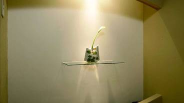 内装の詳細 / 13