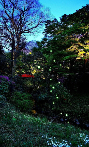 ヴィーガン＆グルテンフリーのコースが昼・夜ある老舗ホテル3516945