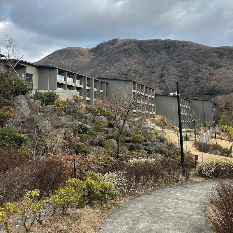 m0m0_311さんの写真 / 2