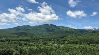 クラシックツイン（TFC)