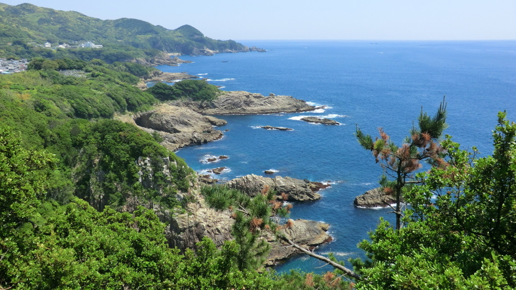 山海の美味しいものがたっぷり揃う高知県3917463