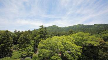 屋上テラス / 16