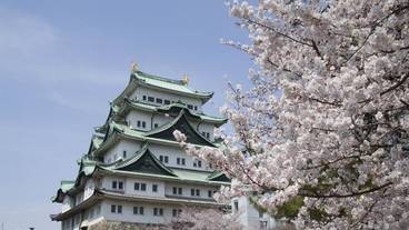 観光スポット / 3