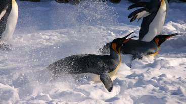 観光スポット / 15