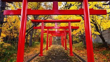 観光スポット / 7