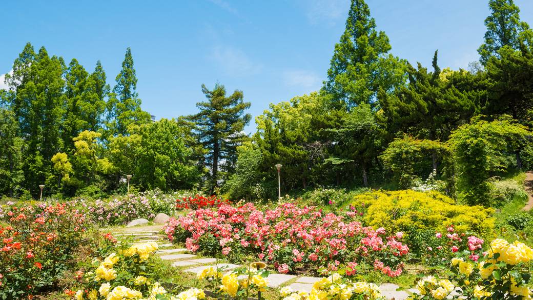 靭公園 / 1