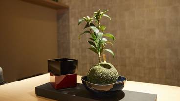 内装の詳細 / 21