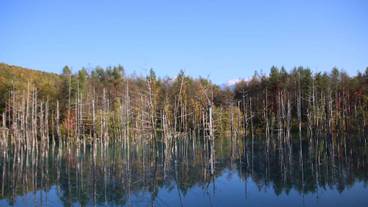 施設からの眺望 / 37