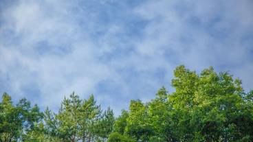 施設からの眺望 / 13