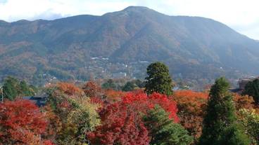 施設からの眺望 / 9