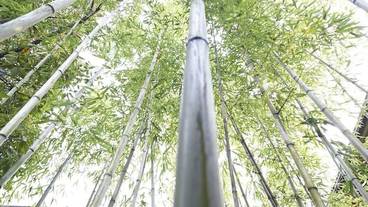 施設からの眺望 / 36