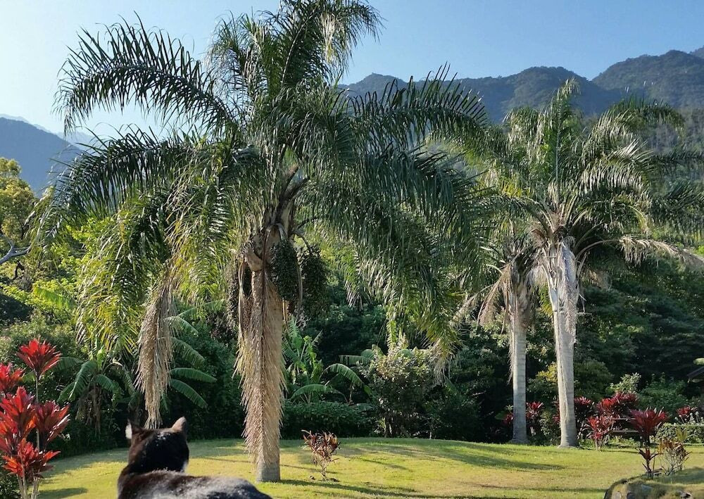 バルコニーからの眺望