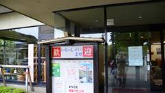 夏油高原温泉郷 美人の湯 瀬美温泉 桐の花 山吹の花