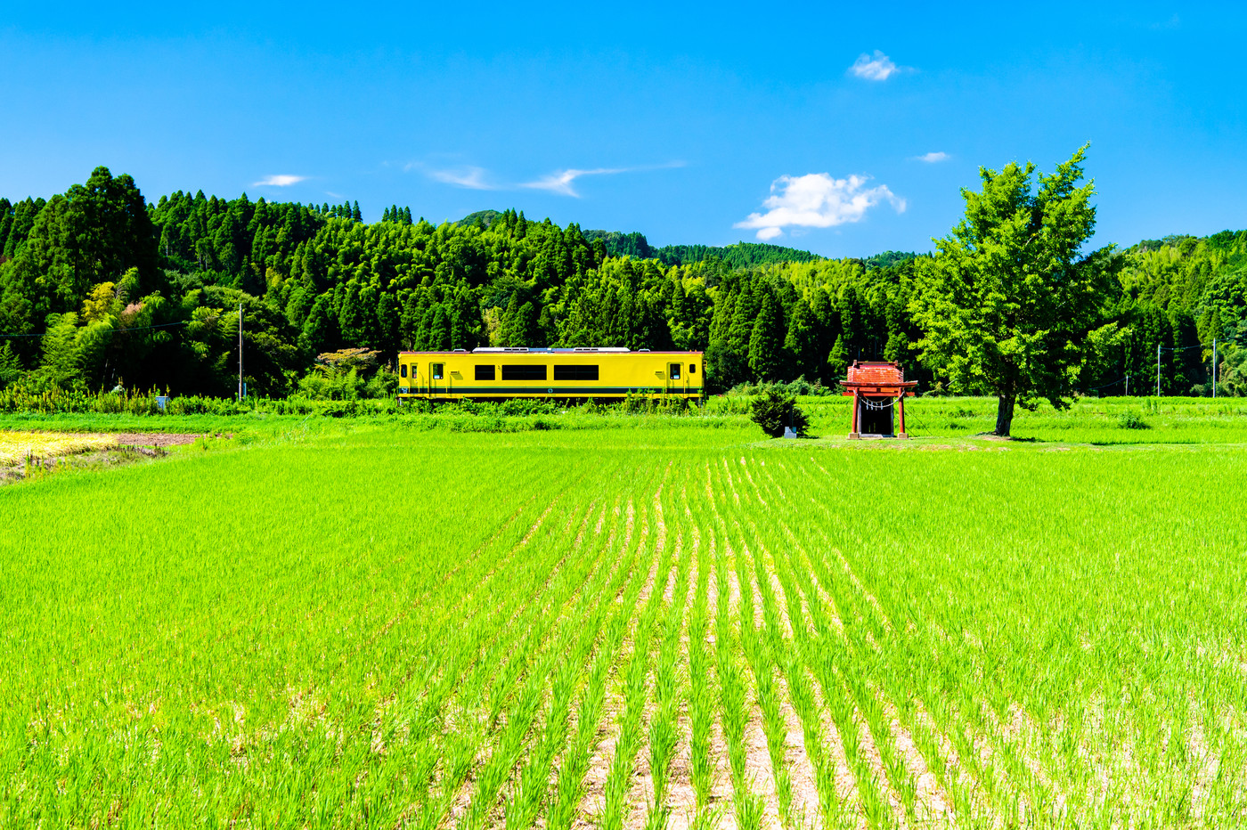 千葉県 いすみ鉄道 小さな祠と気動車(大多喜-小松谷)