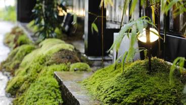 施設の敷地 / 10