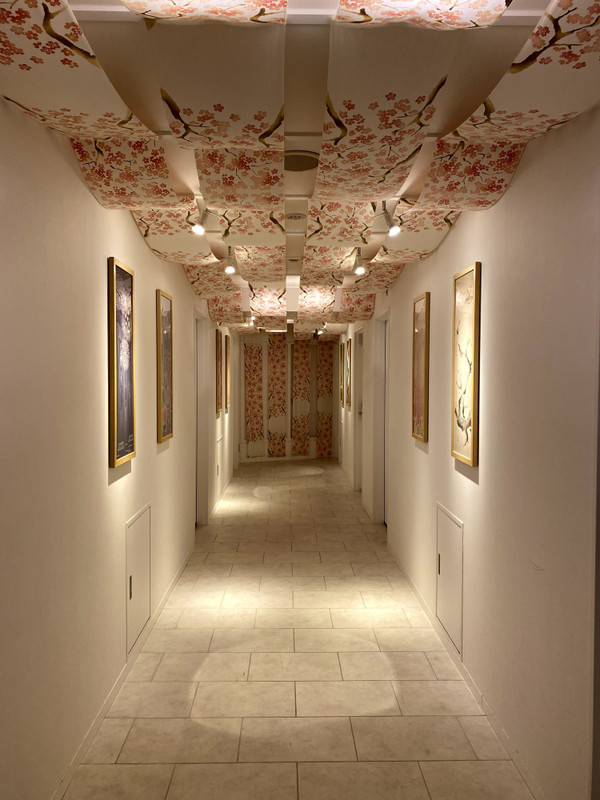 akarinomadさんの写真 / 2