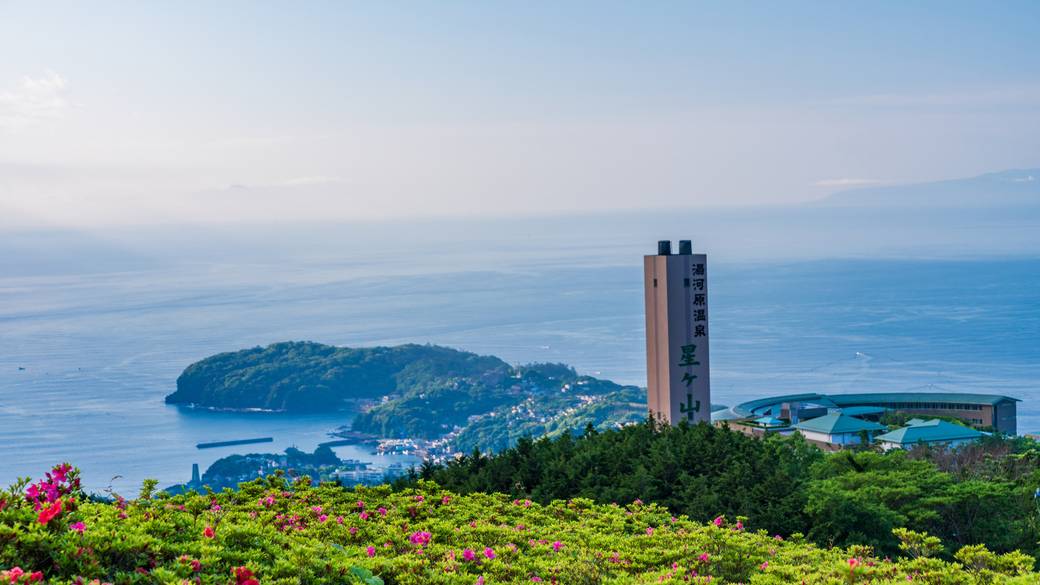 星ヶ山公園 さつきの郷 / 1