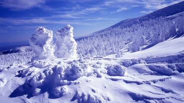 観光スポット / 35