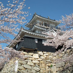 浜松観光なら1日楽しめる「浜松城」へ！お城と公園の見所をチェック♪