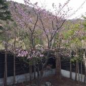 温泉旅館 錦和荘（北海道 旅館） / 4