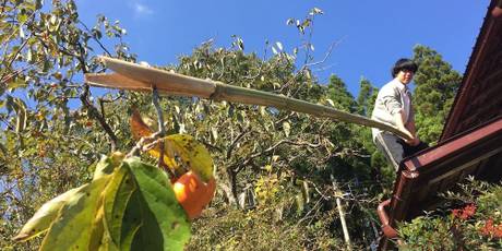 五右衛門 GOEMON KYOTO JAPAN