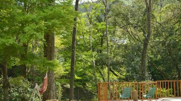 レストラン / 14