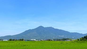 観光スポット / 14