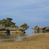 ホテル星立 西表島（沖縄県 シティホテル） / 4