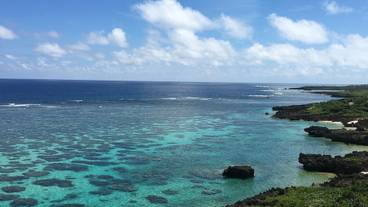 リゾート ビュー / 11