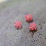 緑寿庵清水（リョクジュアンシミズ）