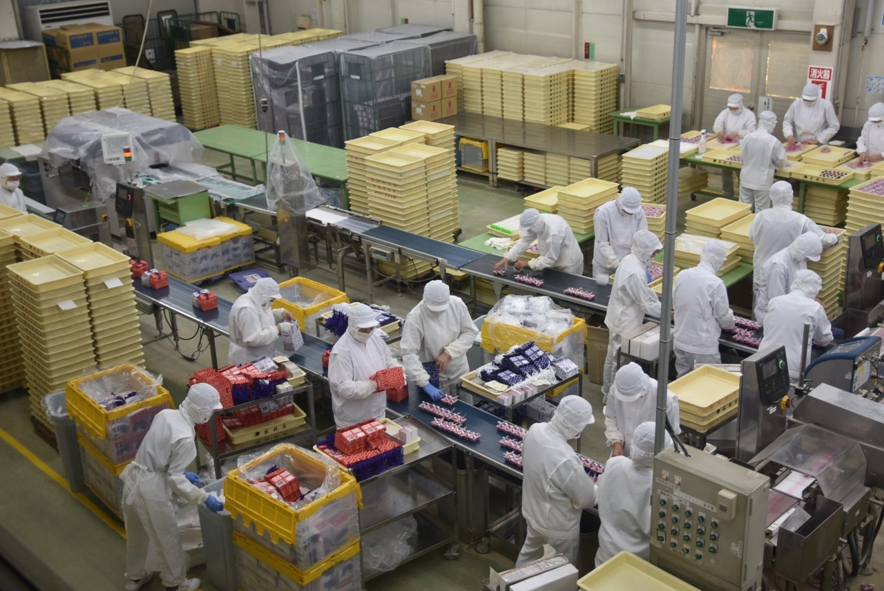 山梨ならではの観光スポット巡り3705519