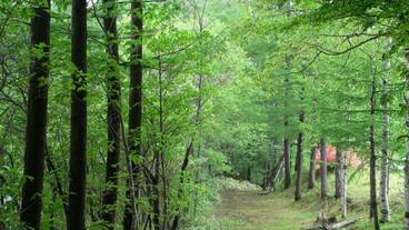施設の敷地 / 20
