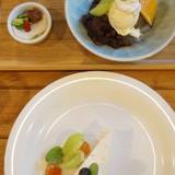 山鳩（ヤマバト）