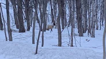施設からの眺望 / 6