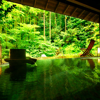 四季折々の“日本庭園”を望む純和風の温泉宿3392581