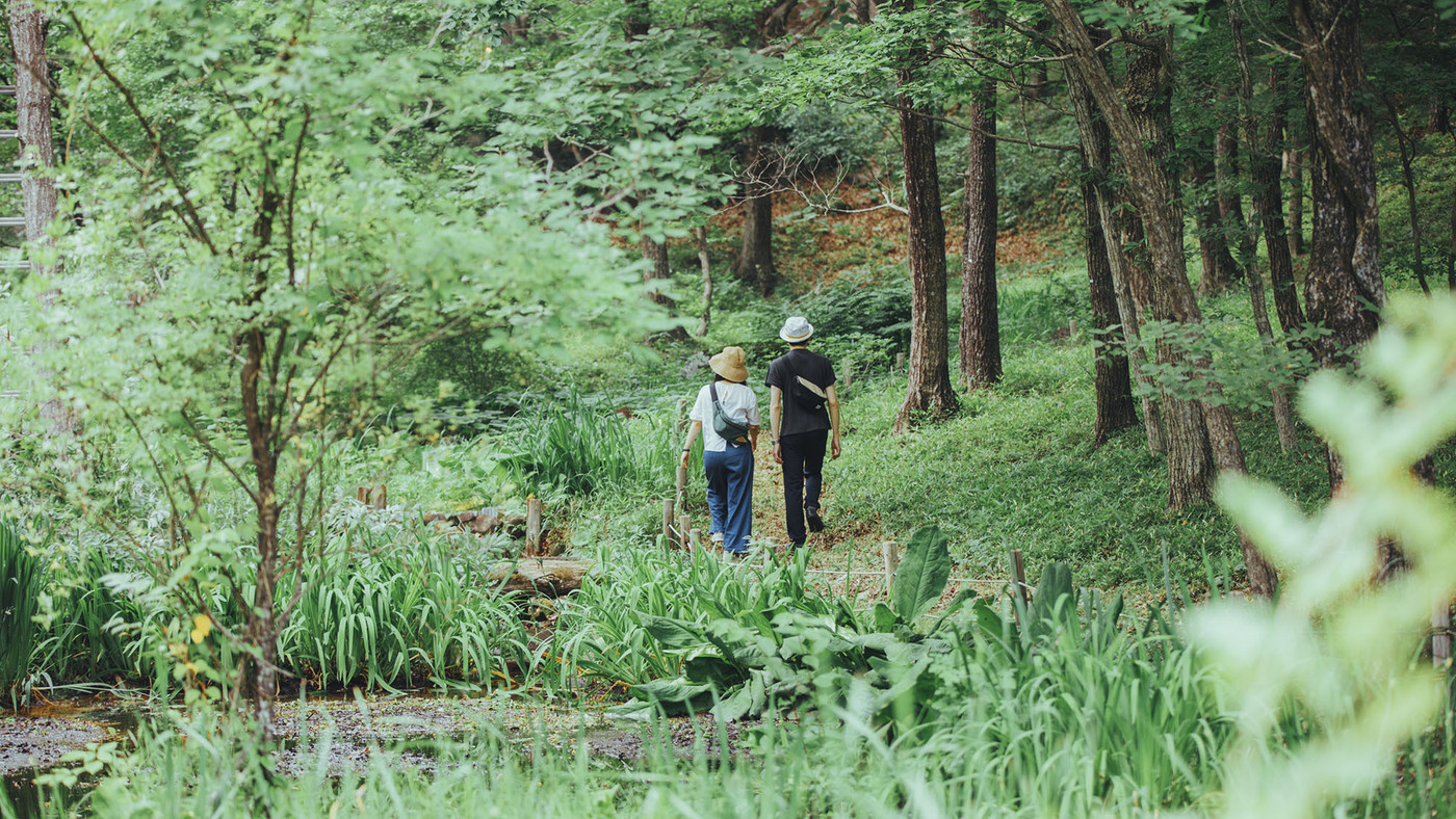 高原アクティビティをおしゃれに満喫3637688