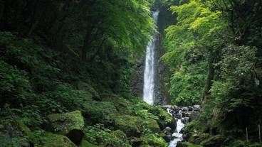 観光スポット / 9