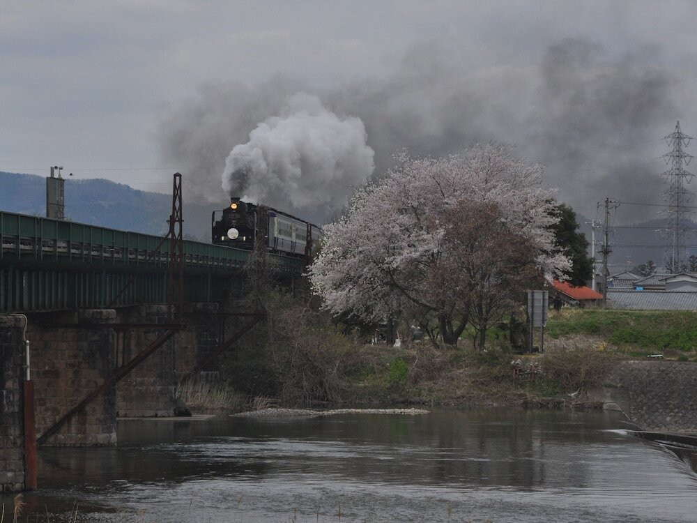 エコツアー