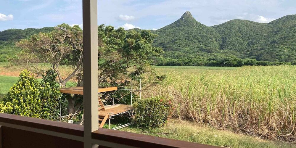 バルコニーからの眺望