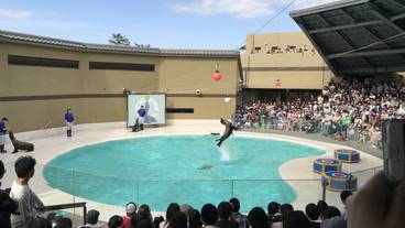 宮島水族館(みやじマリン) / 3