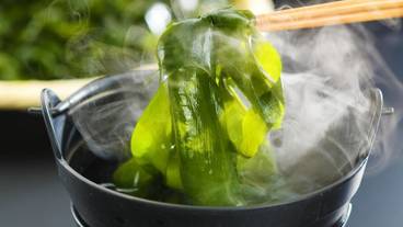 朝食ビュッフェ / 16